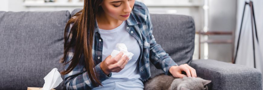 A GUIDE TO PET ALLERGIES AND YOUR EYES